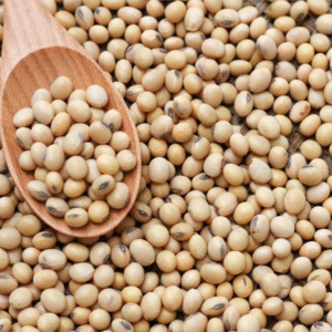Soyabean